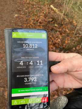 Mobil, der viser besparelser ved rygestop