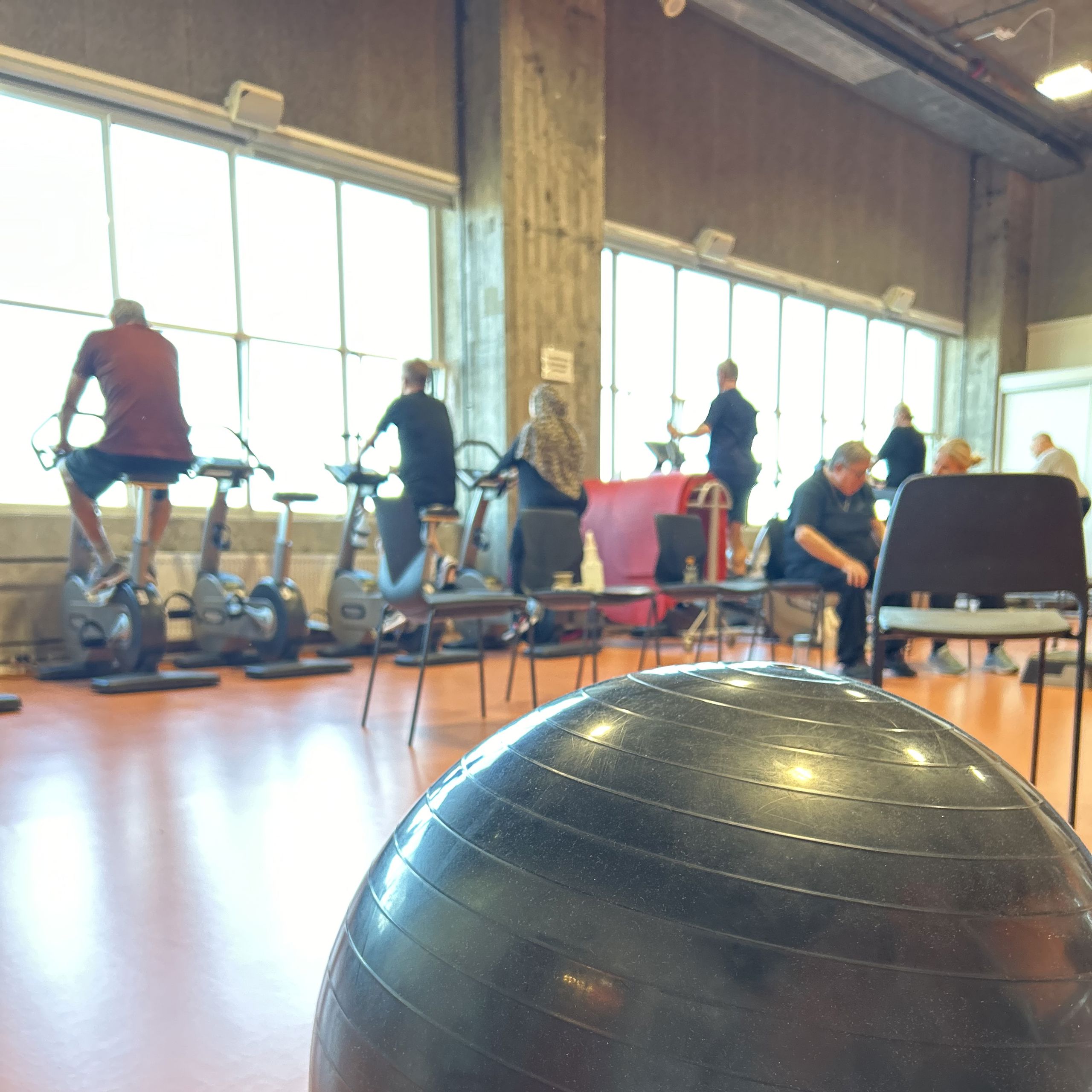 Pilatesbold i træningssal