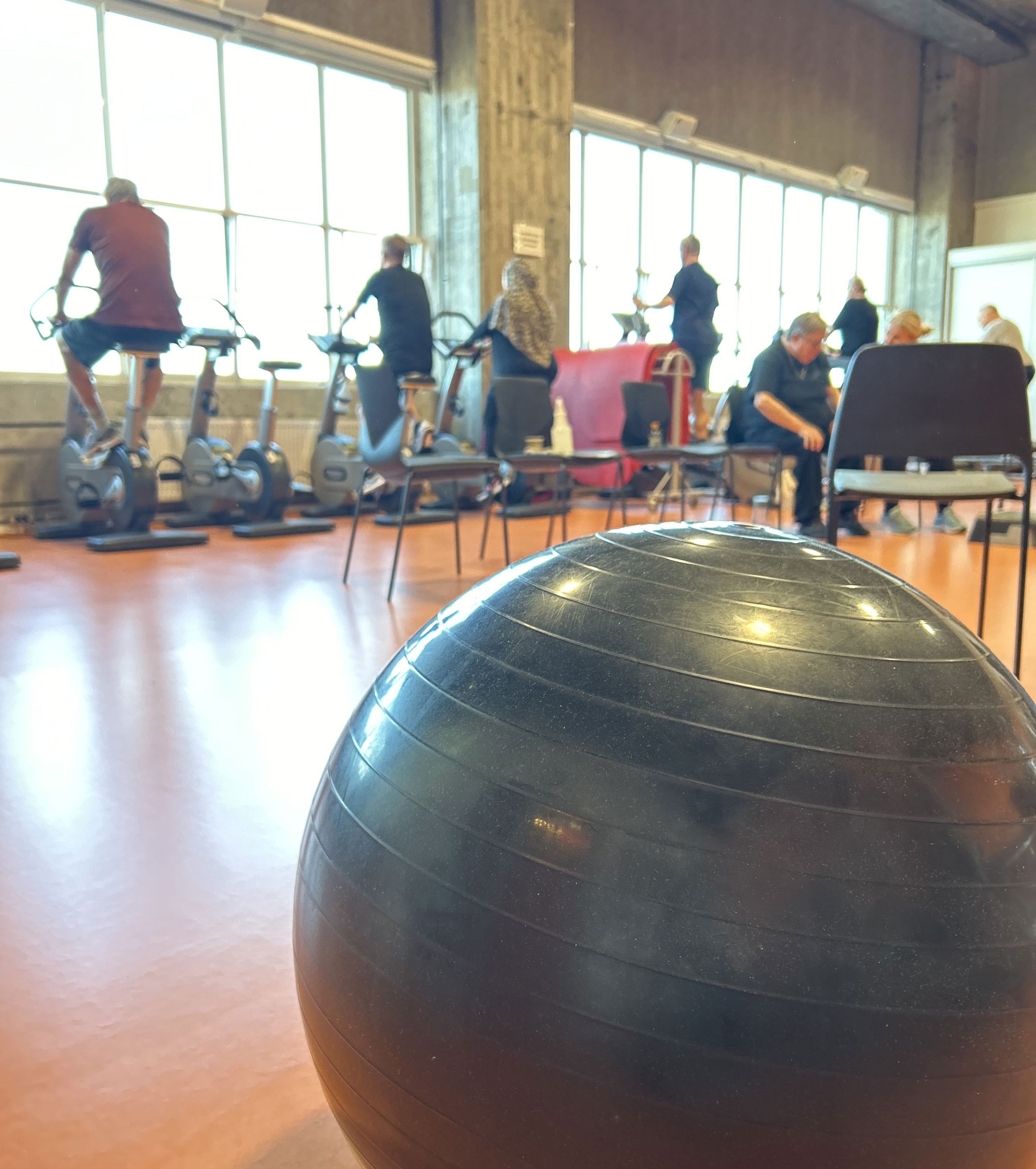 Pilatesbold i træningssal