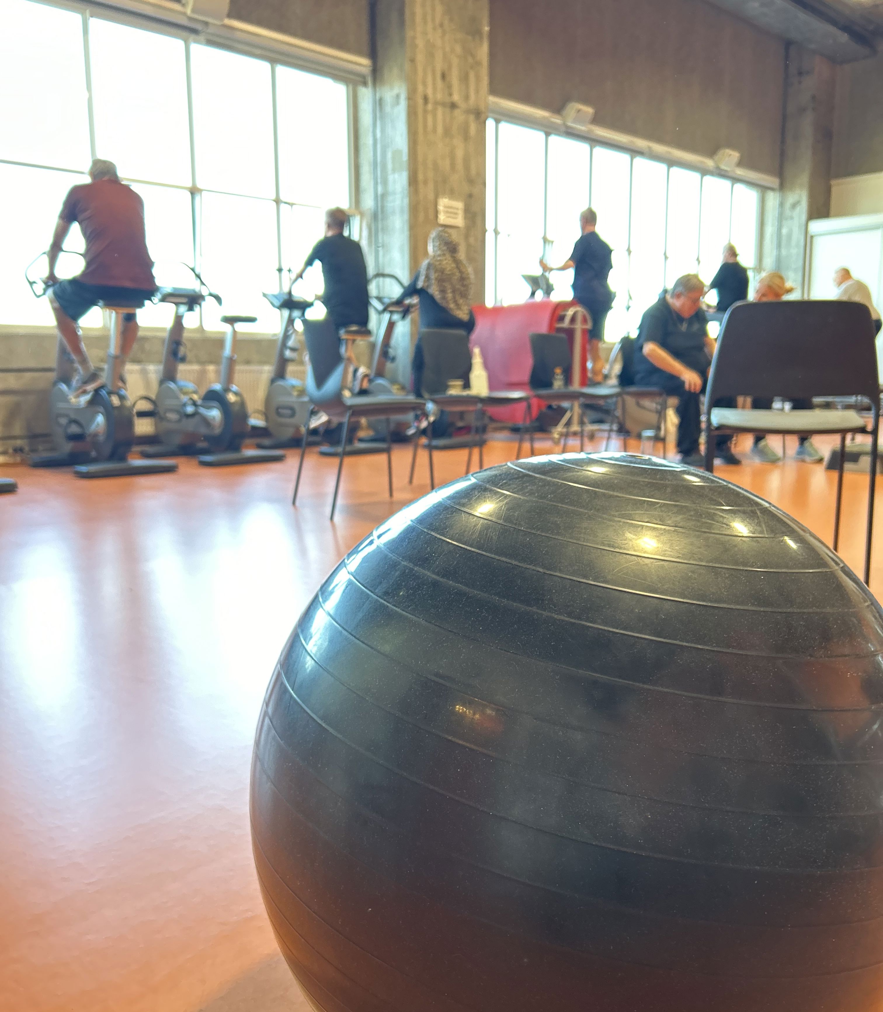 Pilatesbold i træningssal