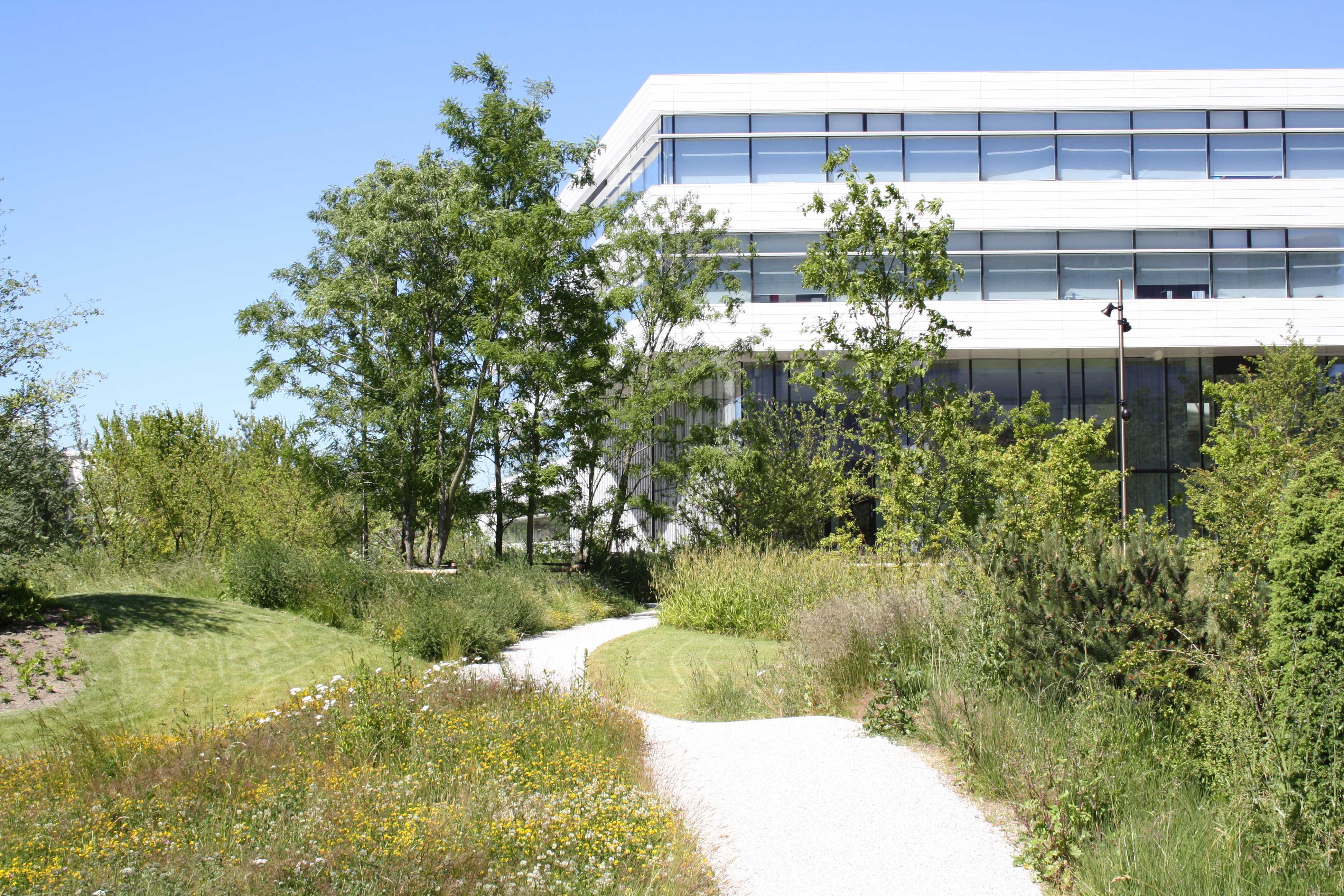 Areal med rig natur ved Novo Nordisks bygning