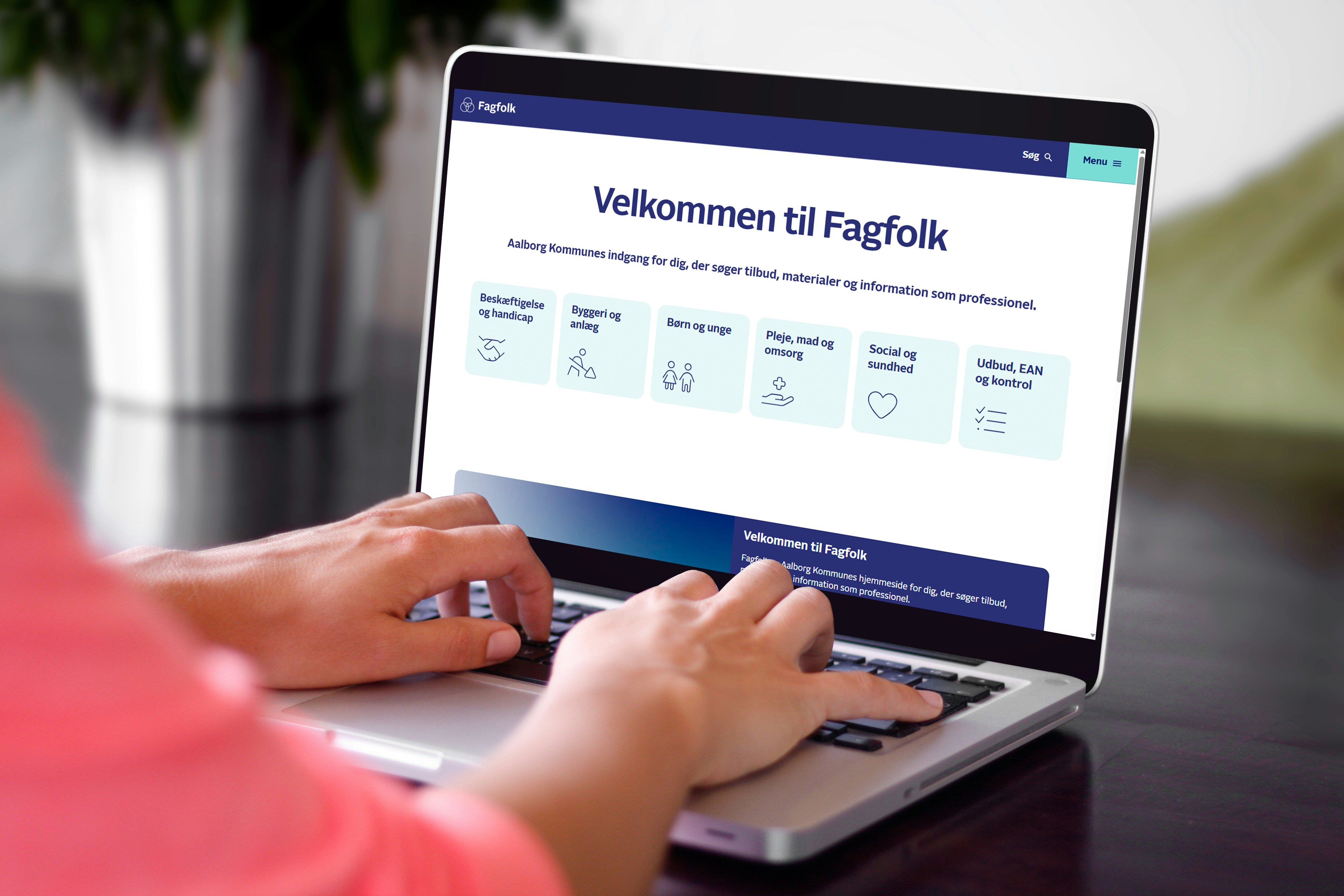 Hjemmesiden fagfolk.aalborg.dk