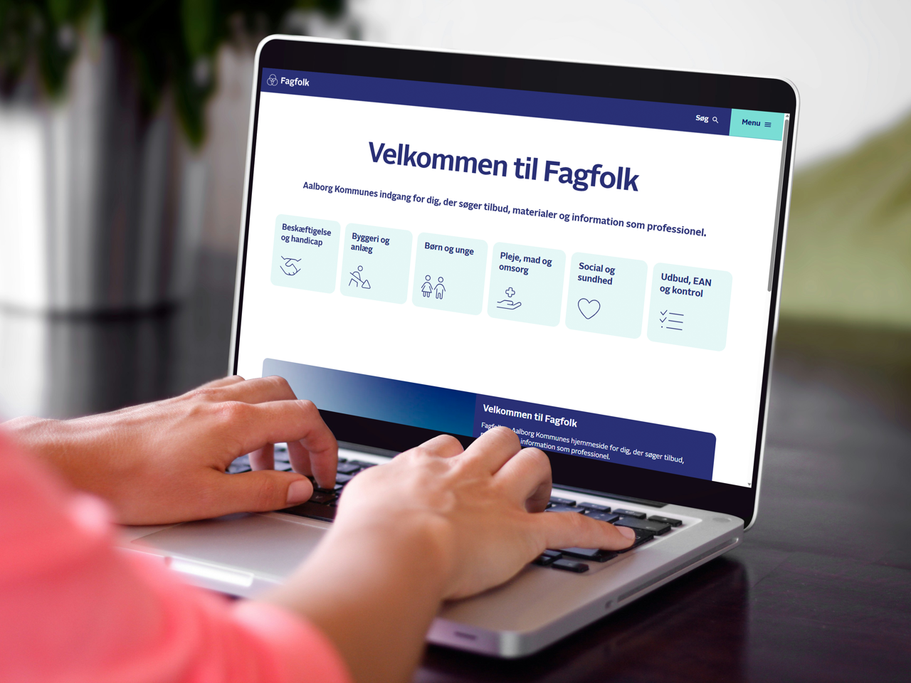 Hjemmesiden fagfolk.aalborg.dk