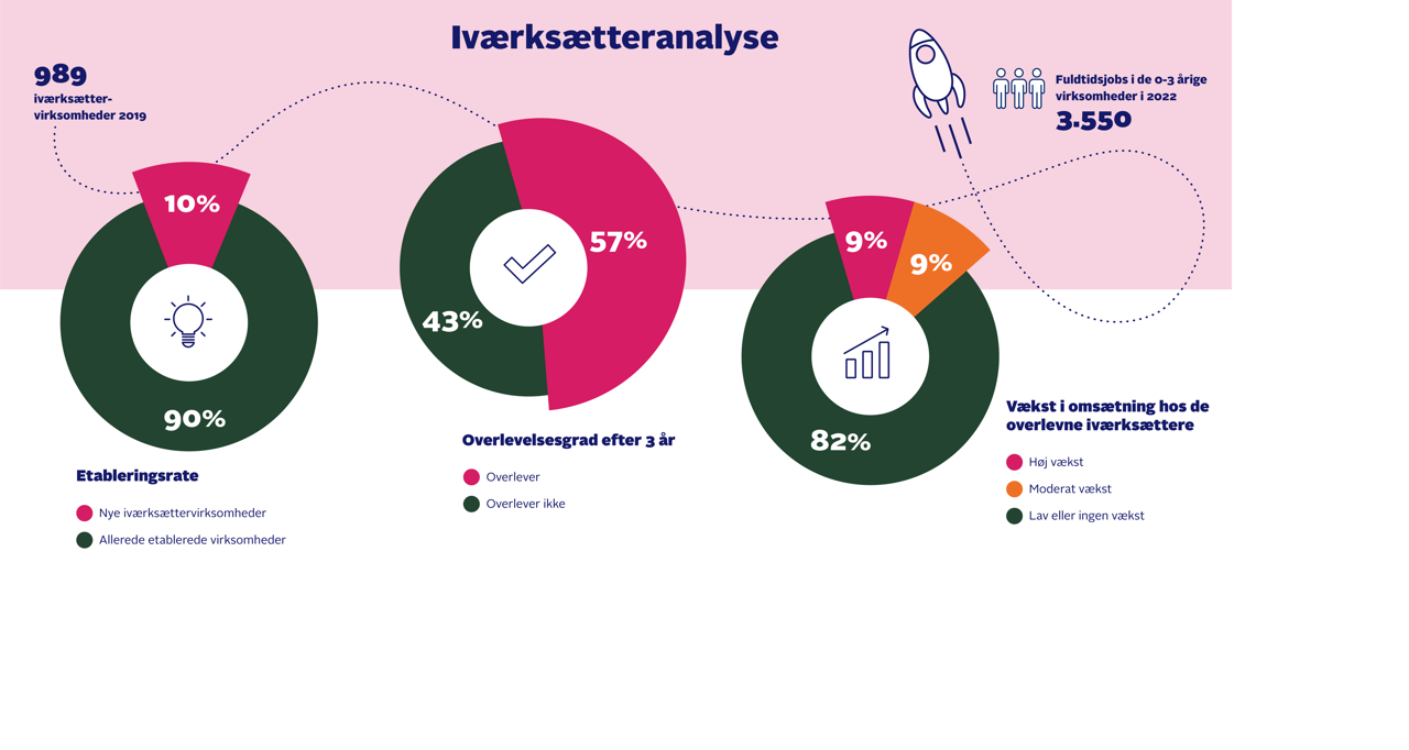 Iværksætteranalyse overblik