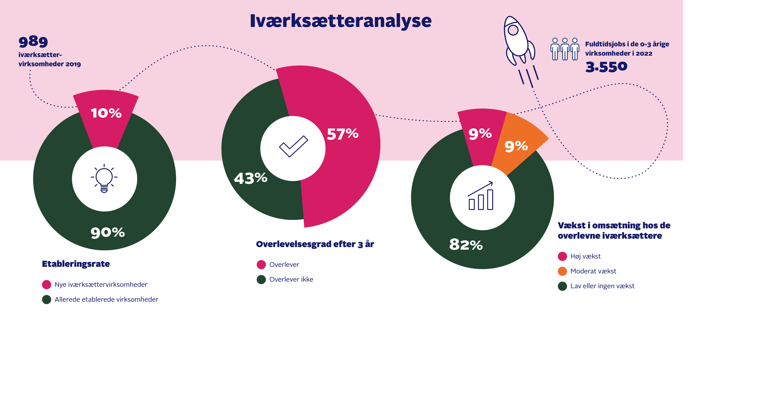 Iværksætteranalyse overblik