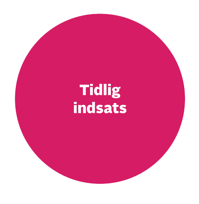 Tidlig indsats