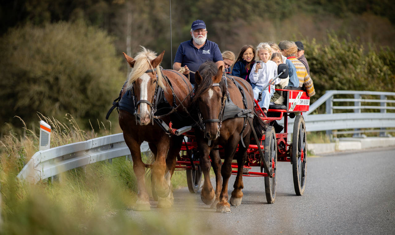 Børn i en hestevogn
