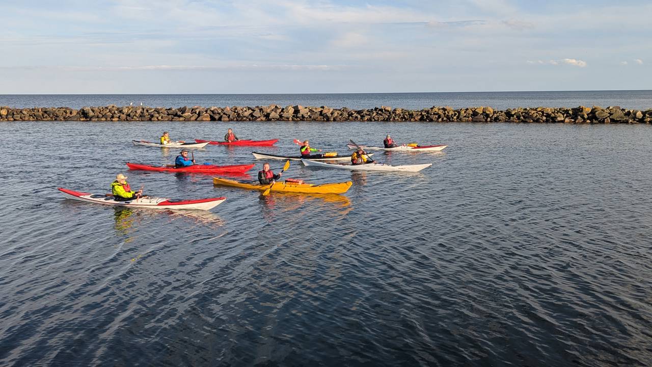Kajakker på fjorden