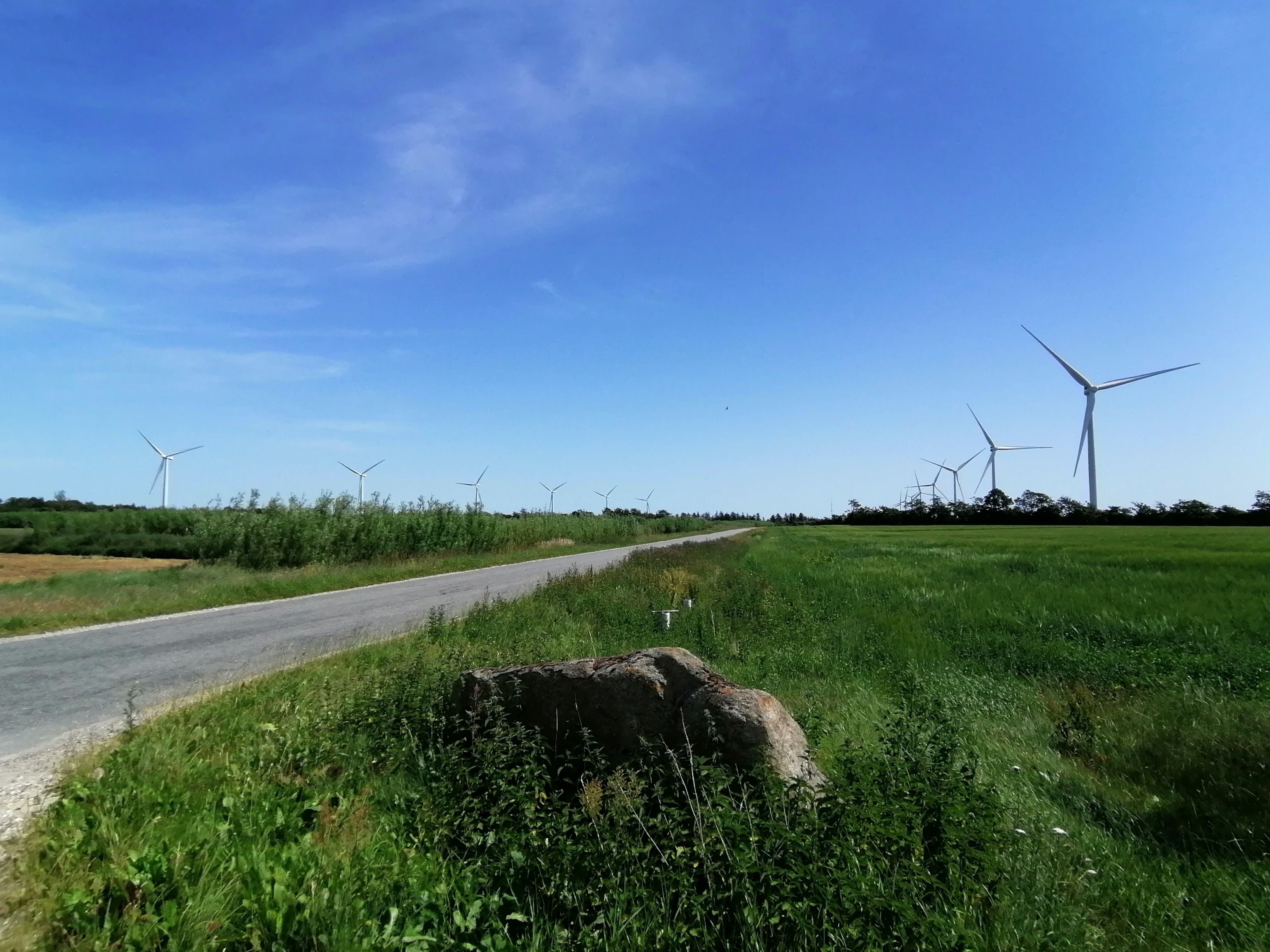 Lyngdrup vindmøllepark