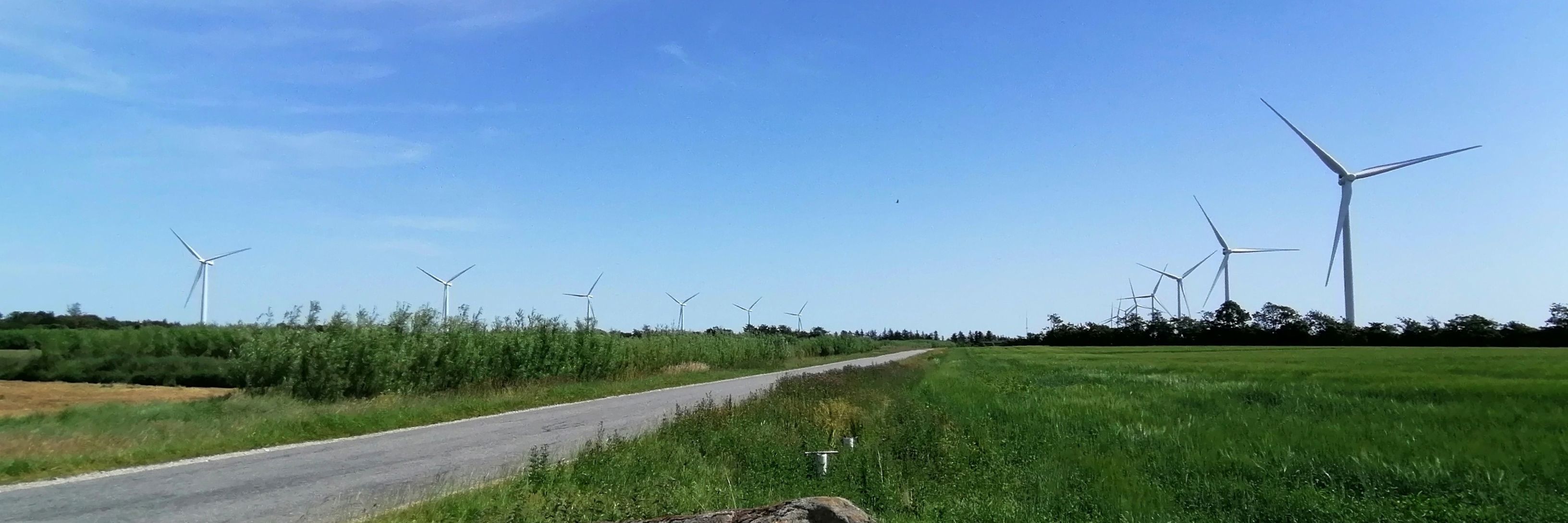 Lyngdrup vindmøllepark