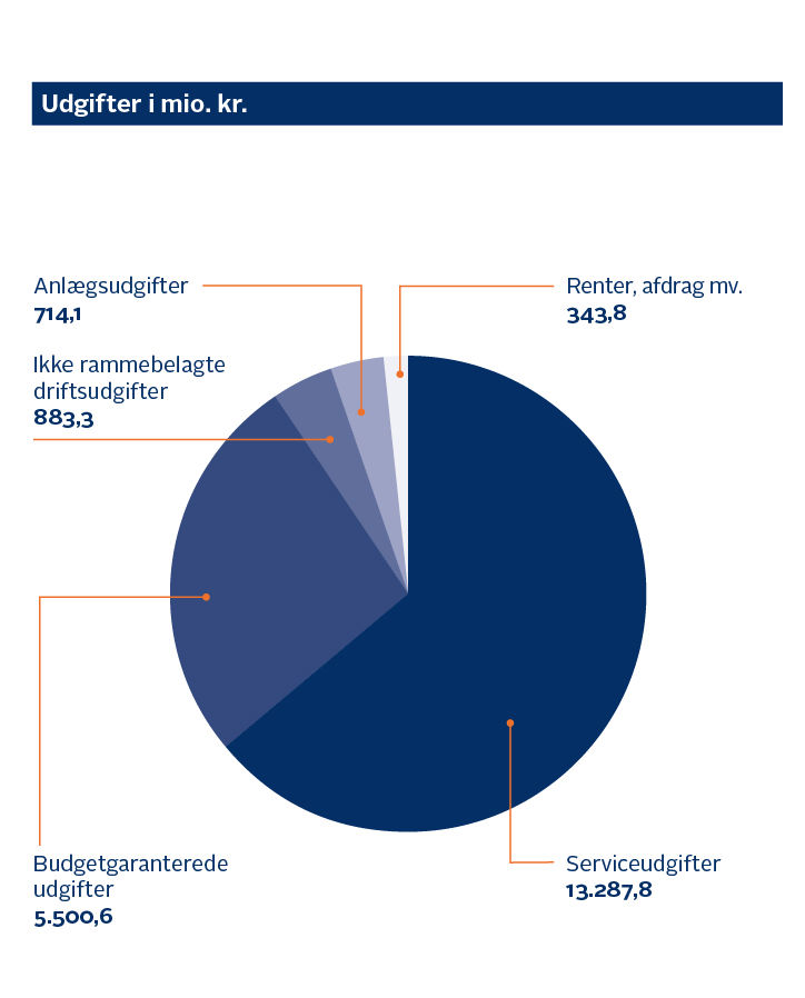Udgifter i millioner kroner: Anlægsudgifter 714,1. Ikke rammebelagte driftsudgifter 883,3. Budgetgaranterede udgifter 5.500,6. Serviceudgifter 13.287,8. Renter, afdrag mv. 343,8