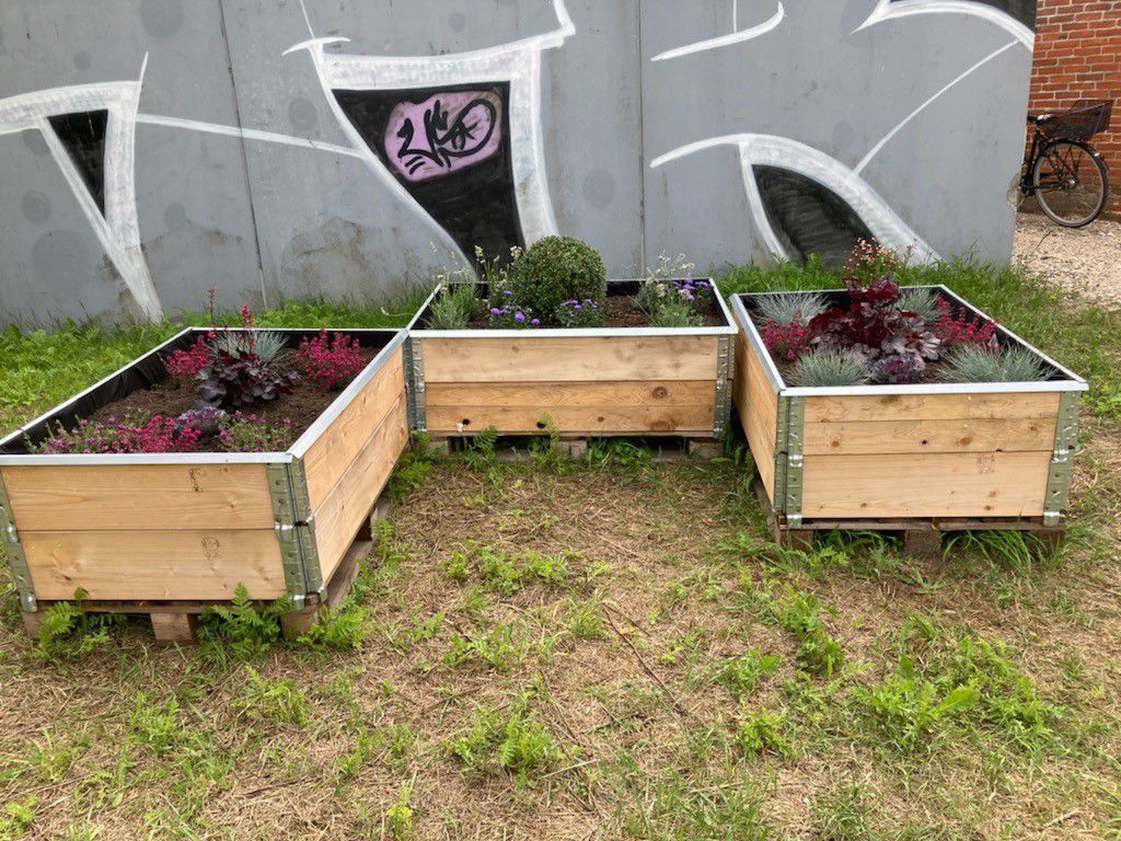 Et par trækasser med planter i