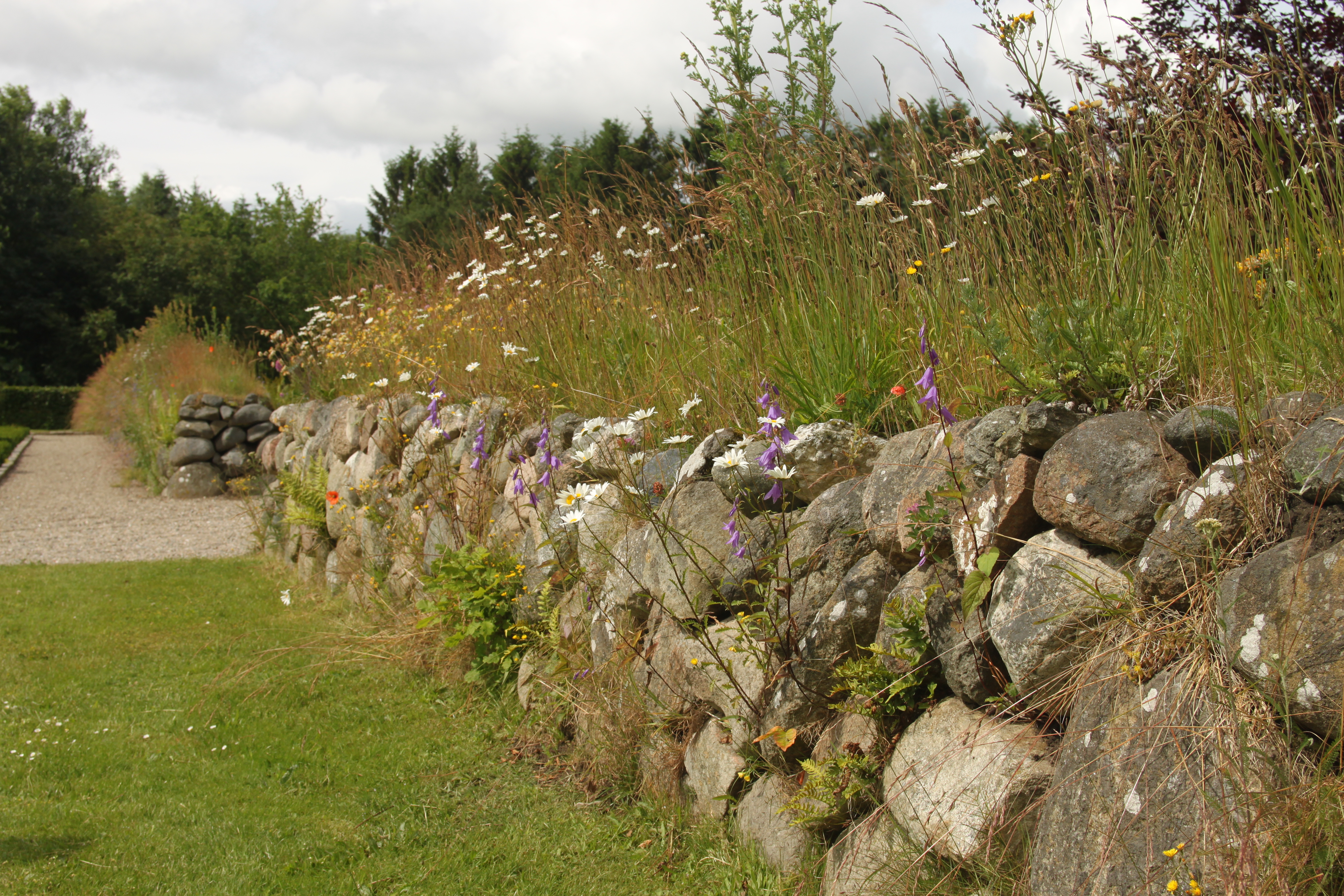 Stendige med blomster og højt græs