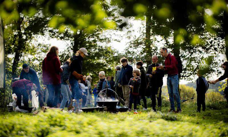 Bålmad i grønne omgivelser