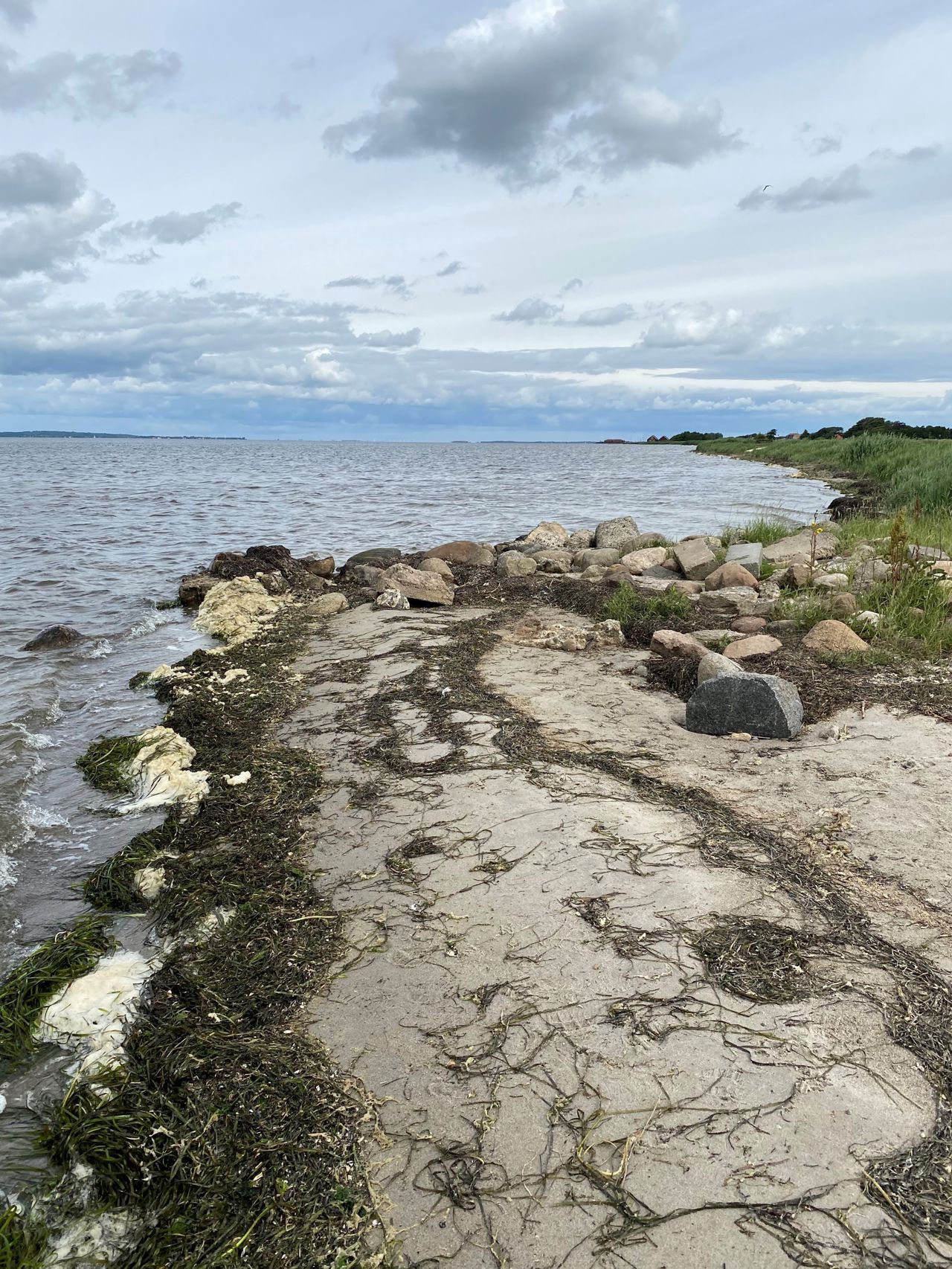 Badestrand ved Nibe Camping