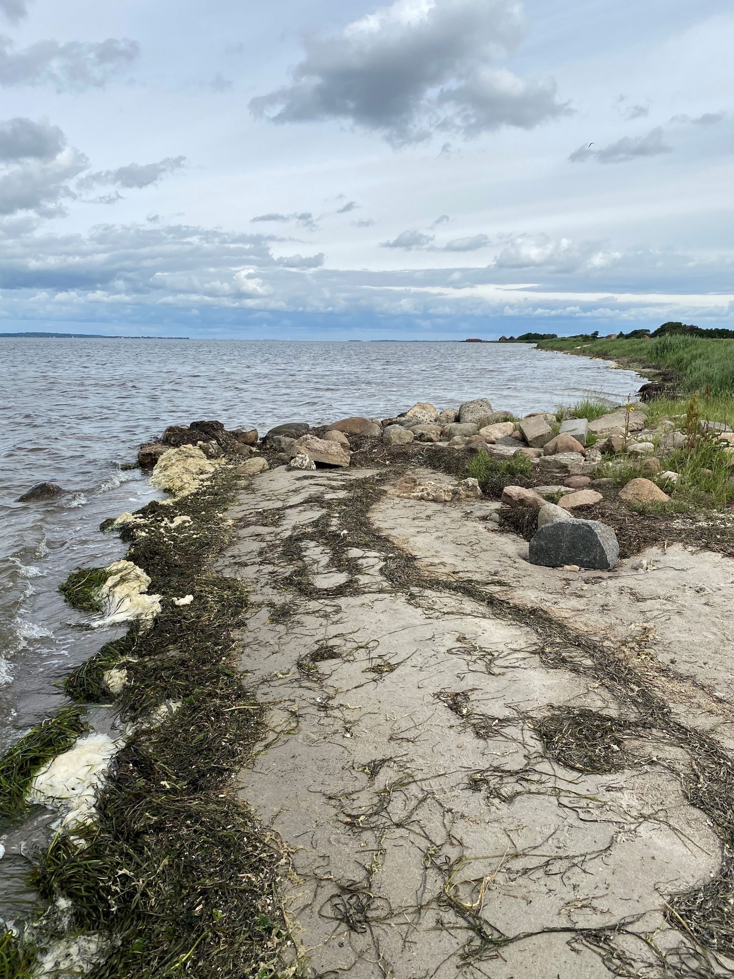 Badestrand ved Nibe Camping