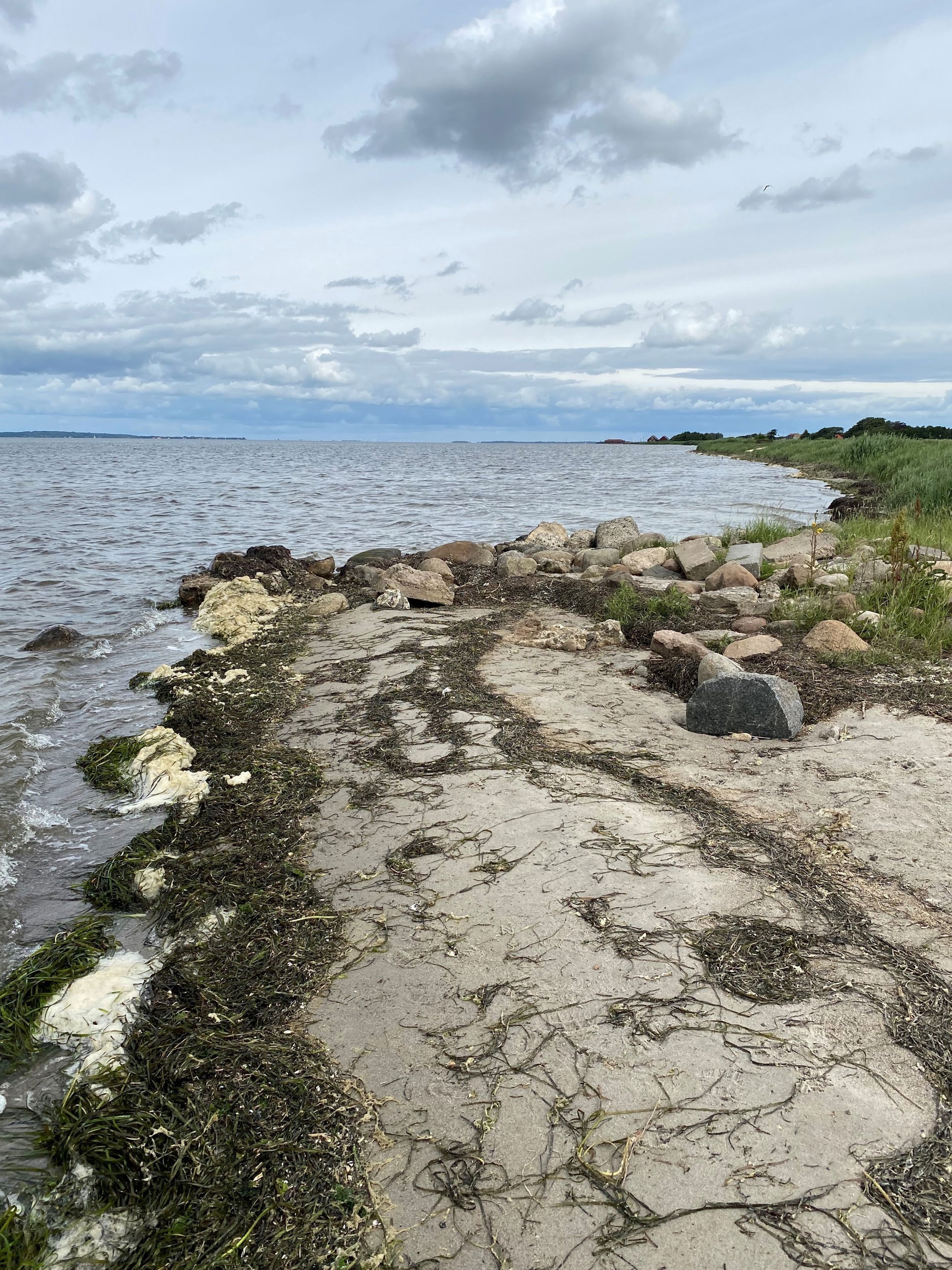 Badestrand ved Nibe Camping