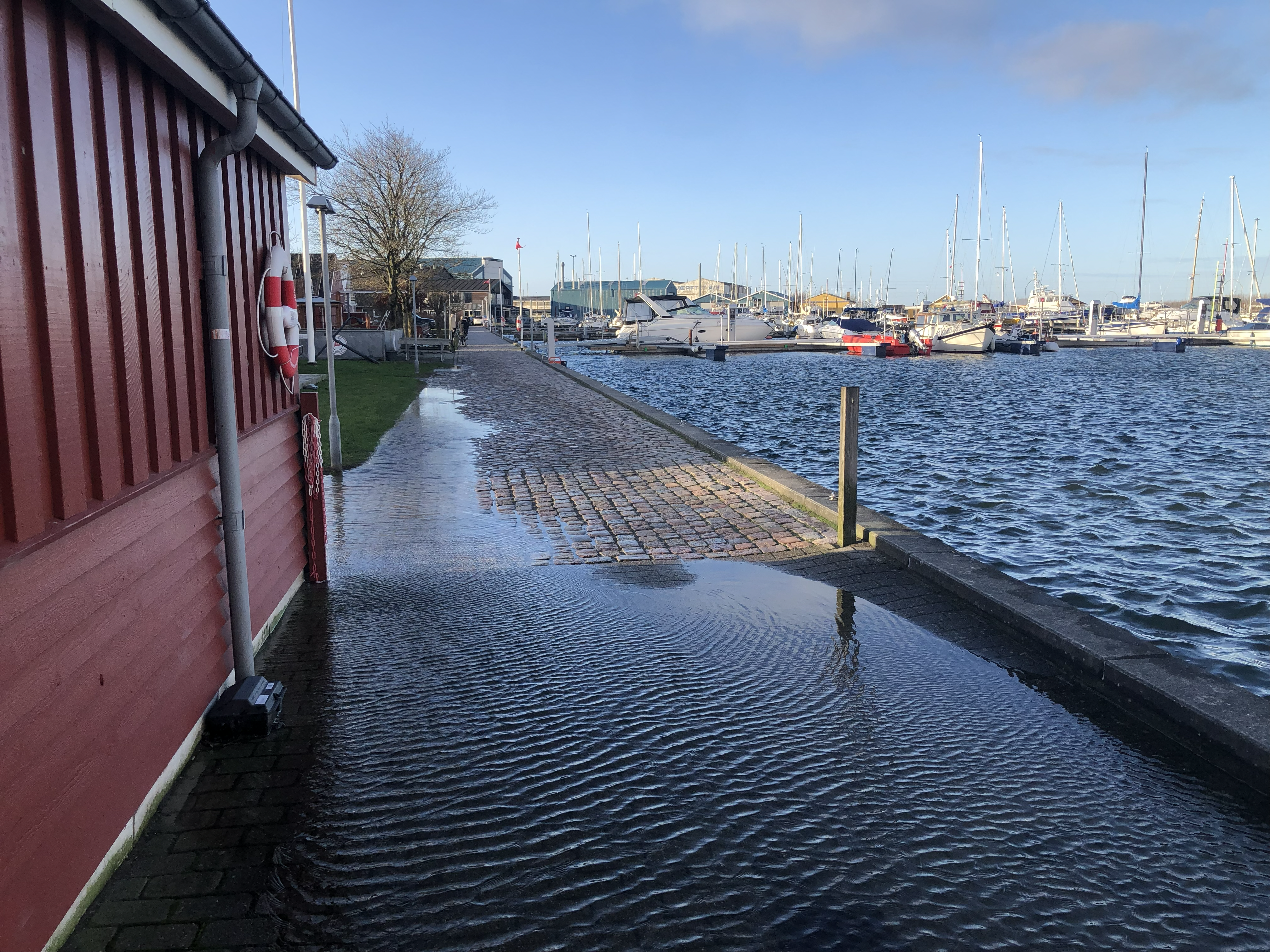 Oversvømmet område ved Vestre Bådehavn i Aalborg