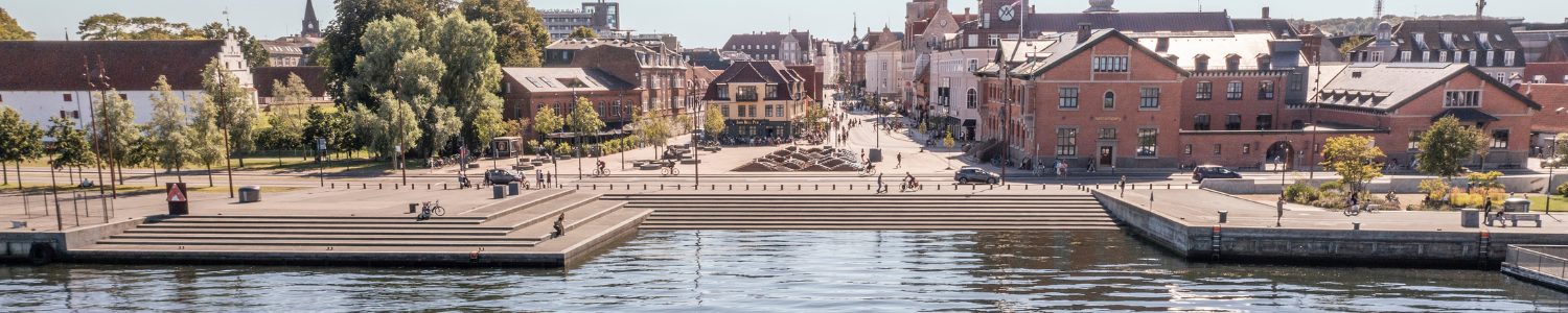 Aalborg fra Limfjorden