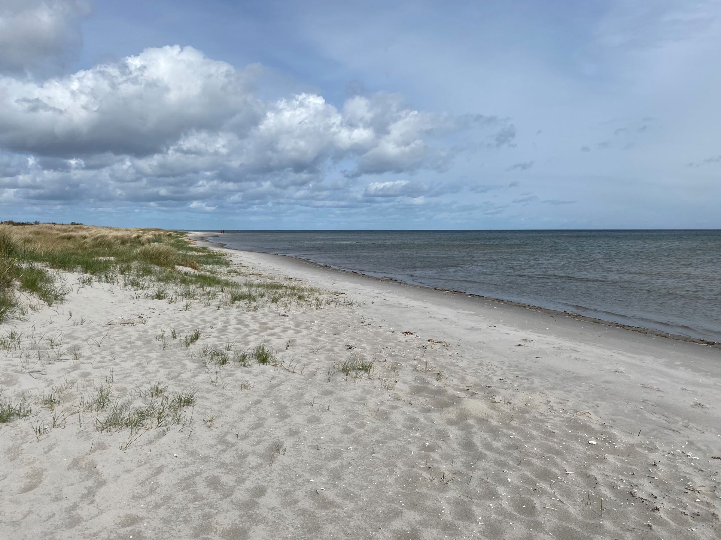 Møllestenen Torderup Strand