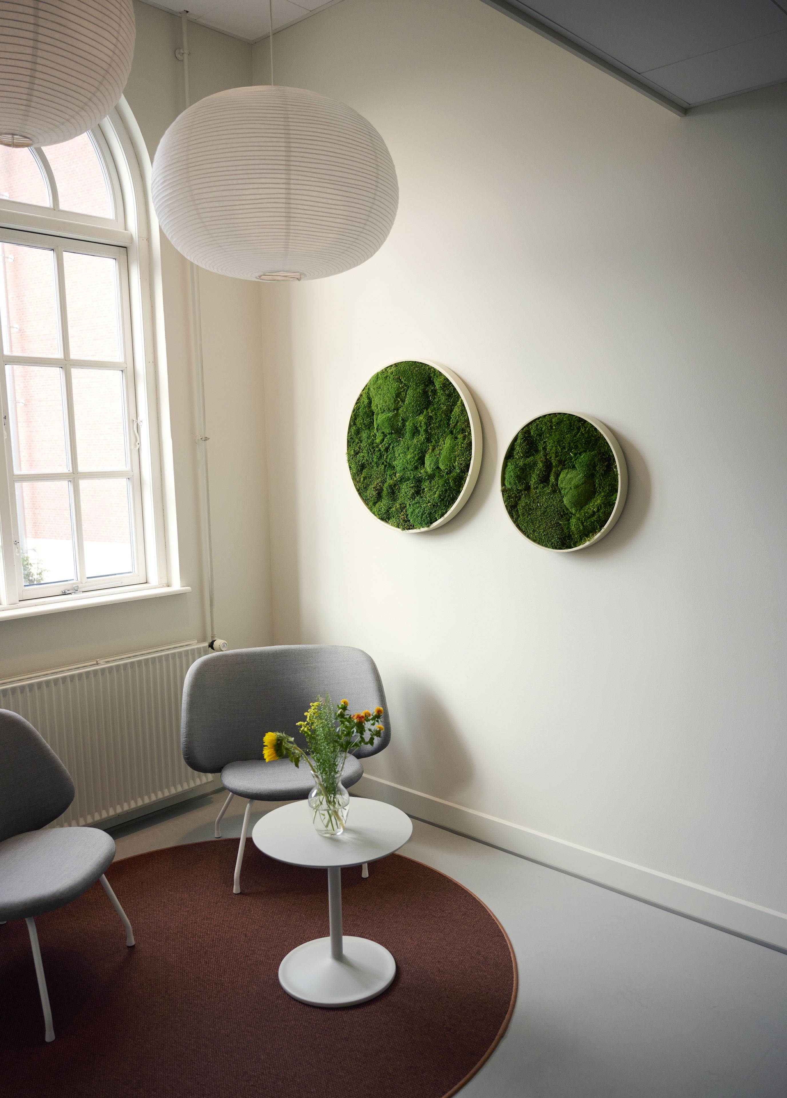 Miljø i Rusmiddelafsnit med mos på væggen