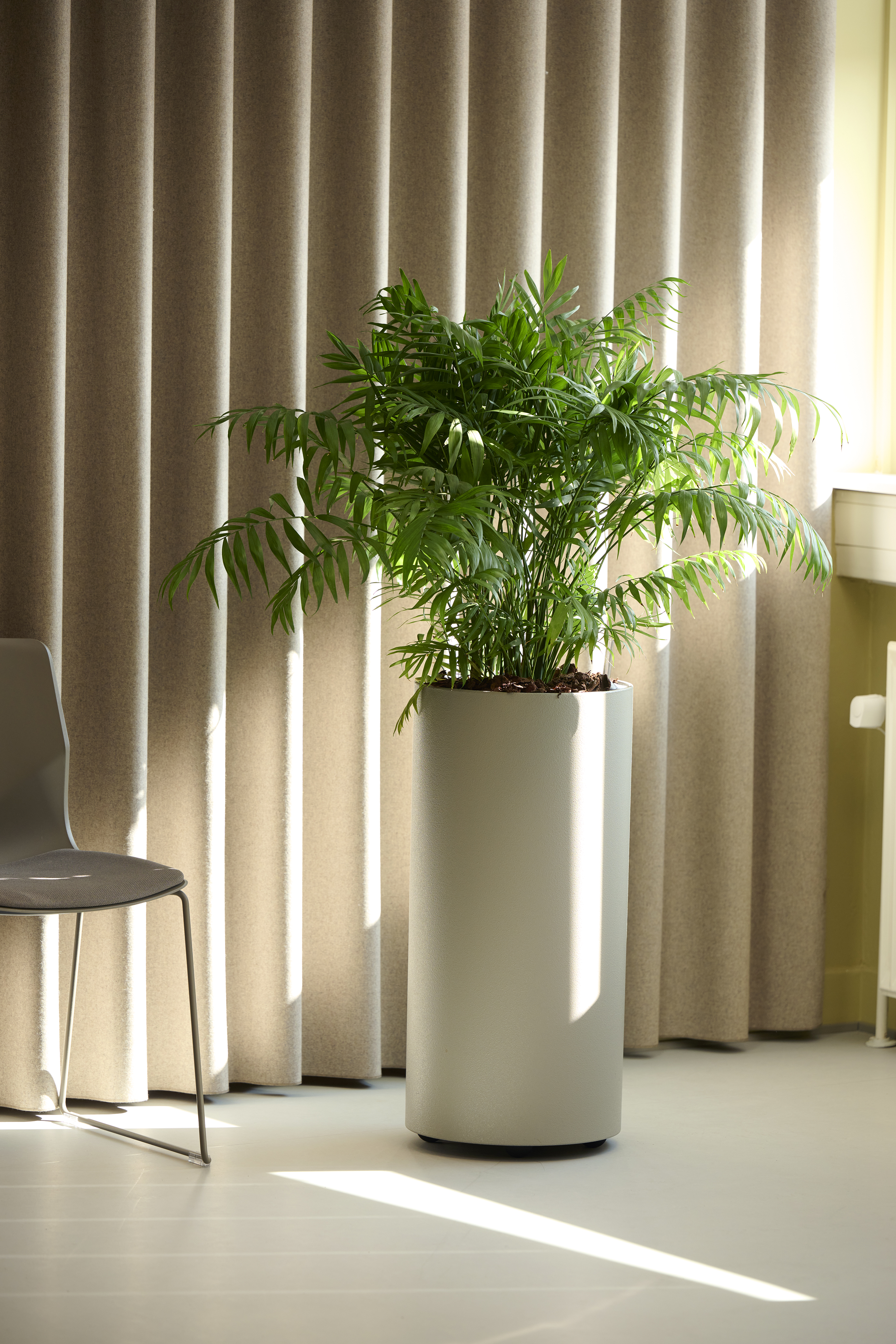 Stor Plante