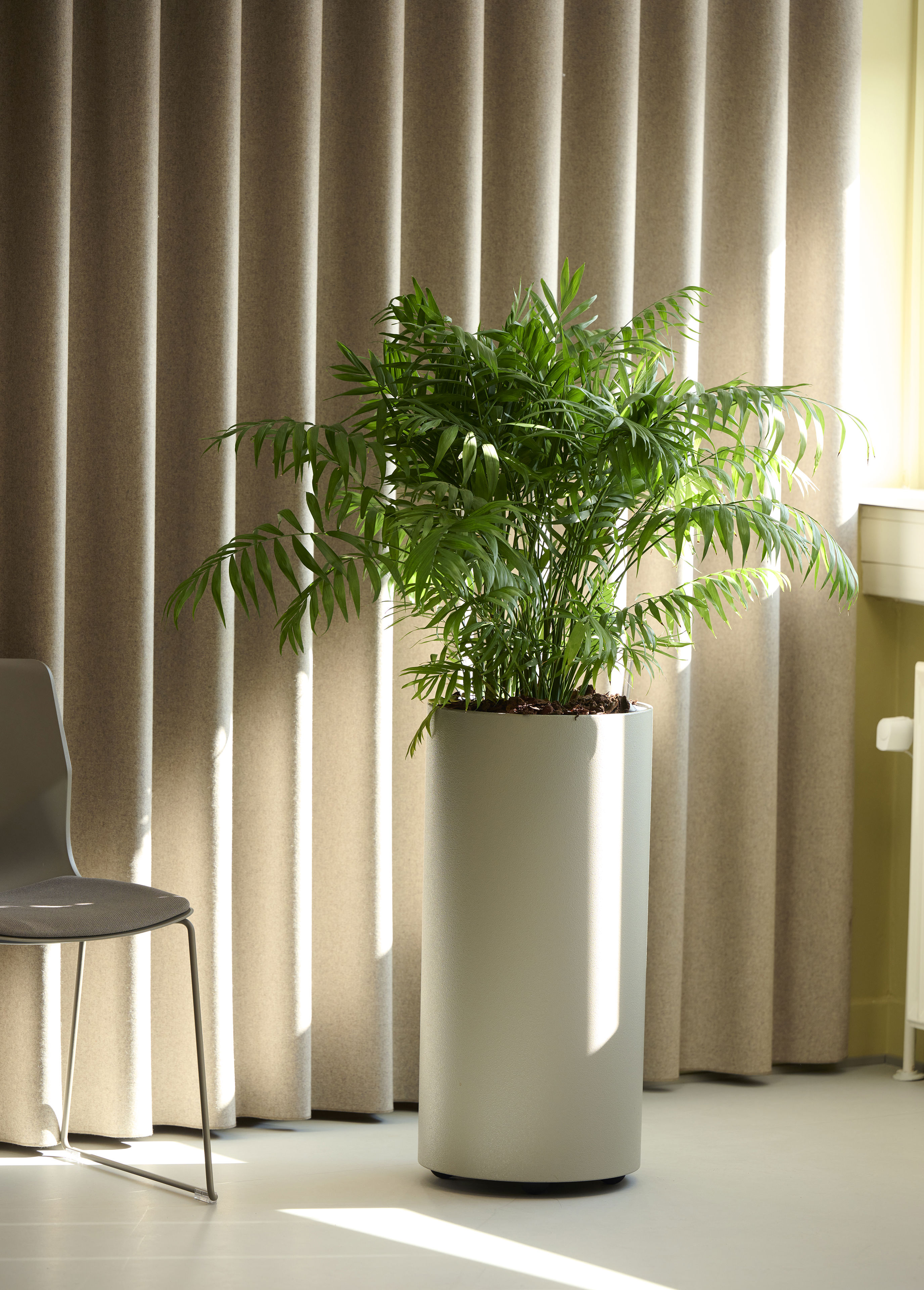 Stor Plante