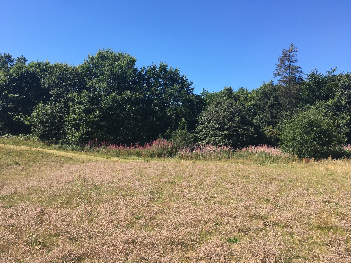 Højageren i Farstrup