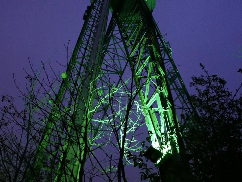 Aalborgtårnet med grønt lys