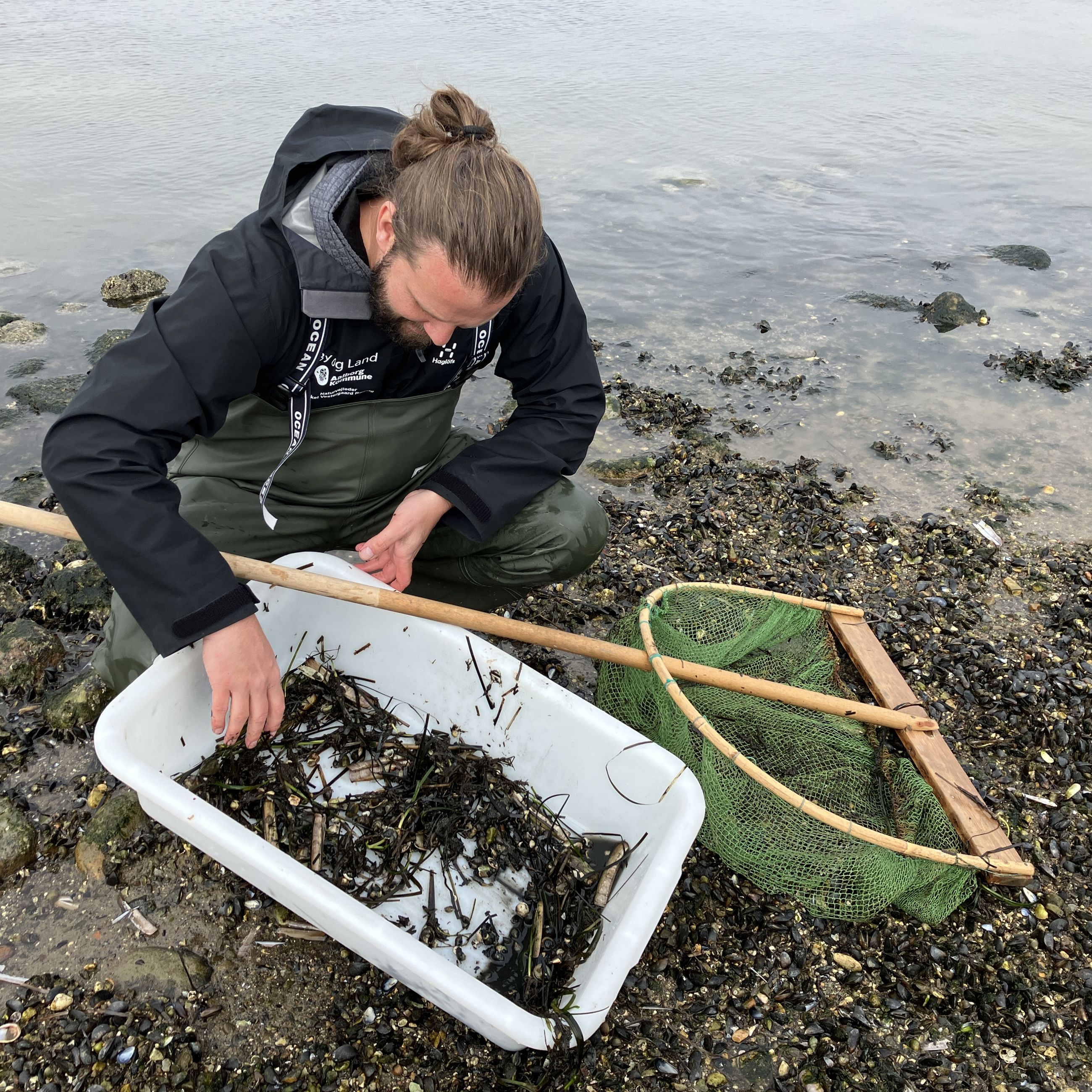 Naturvejleder ved Limfjorden