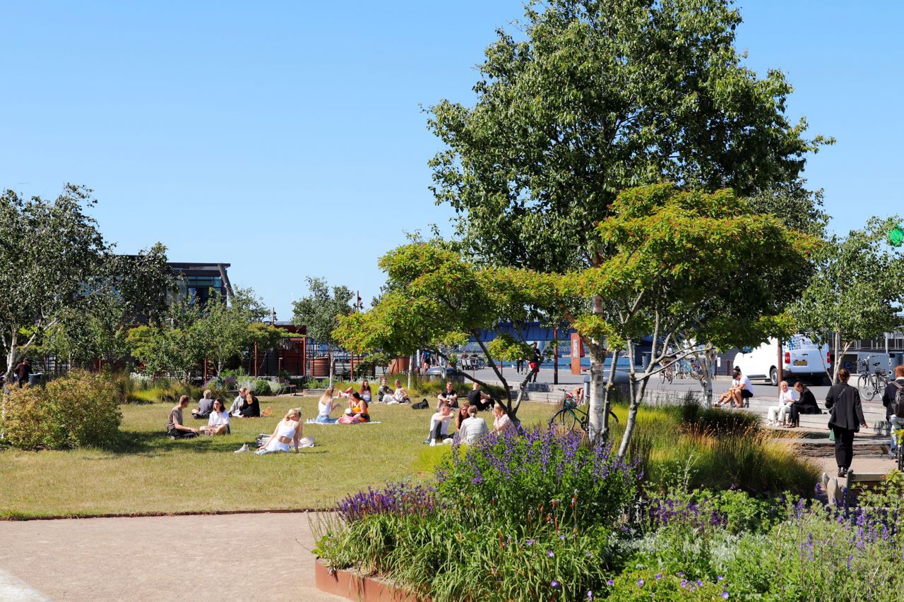 Mennesker på græsplænen i Jomfru Ane Parken