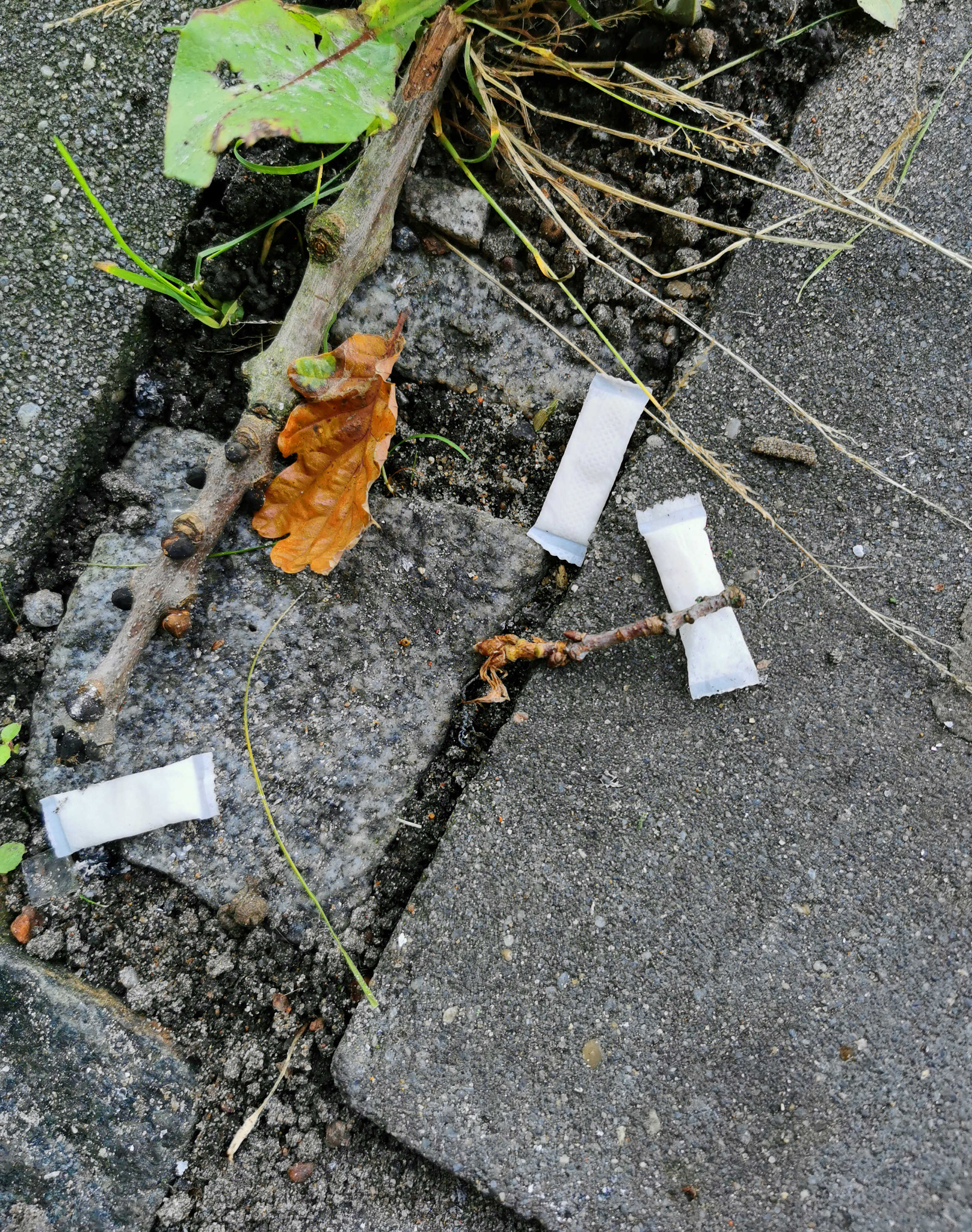 Fortov med nikotinposer