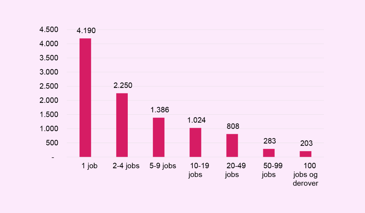 Virksomhedsstørrelse fordelt på antal jobs