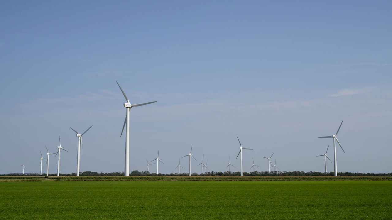 Området vest for Tylstrup hvor der planlægges for solceller