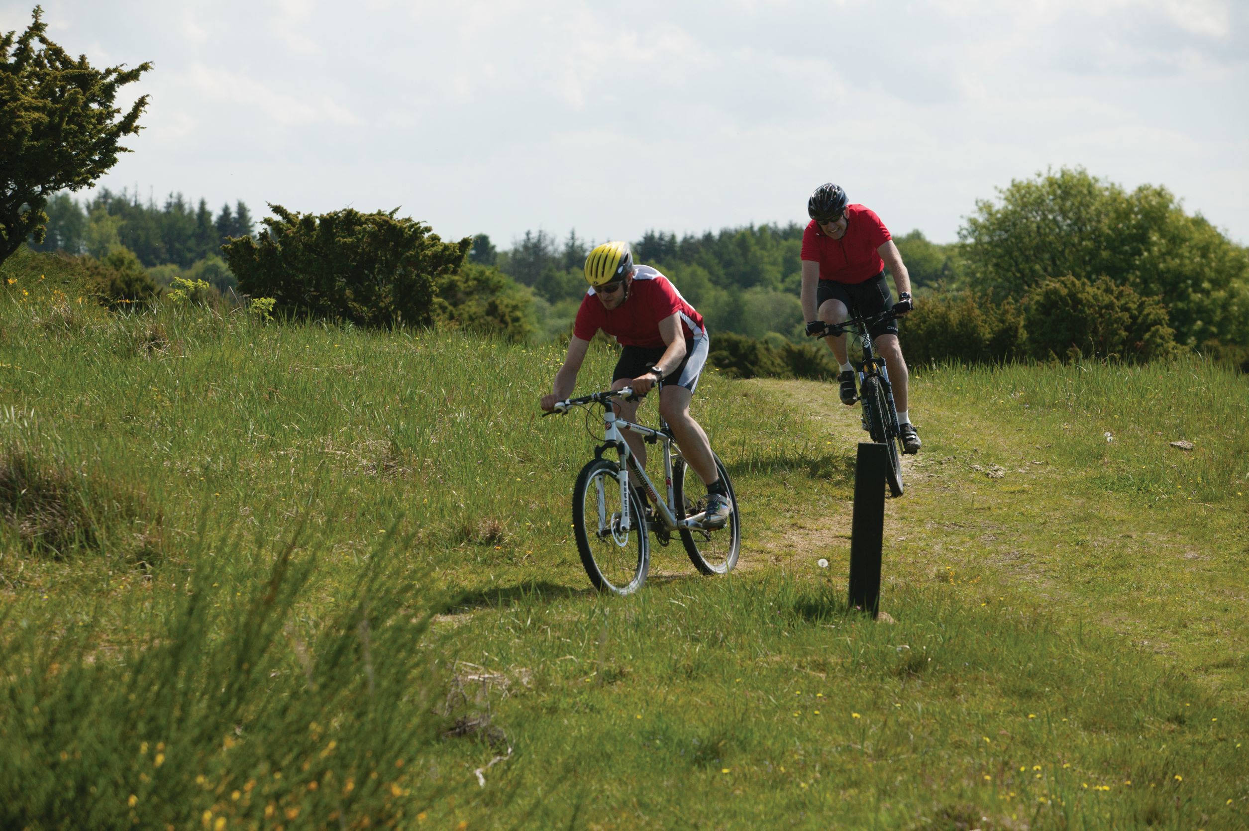 To personer på mountainbike i naturen.