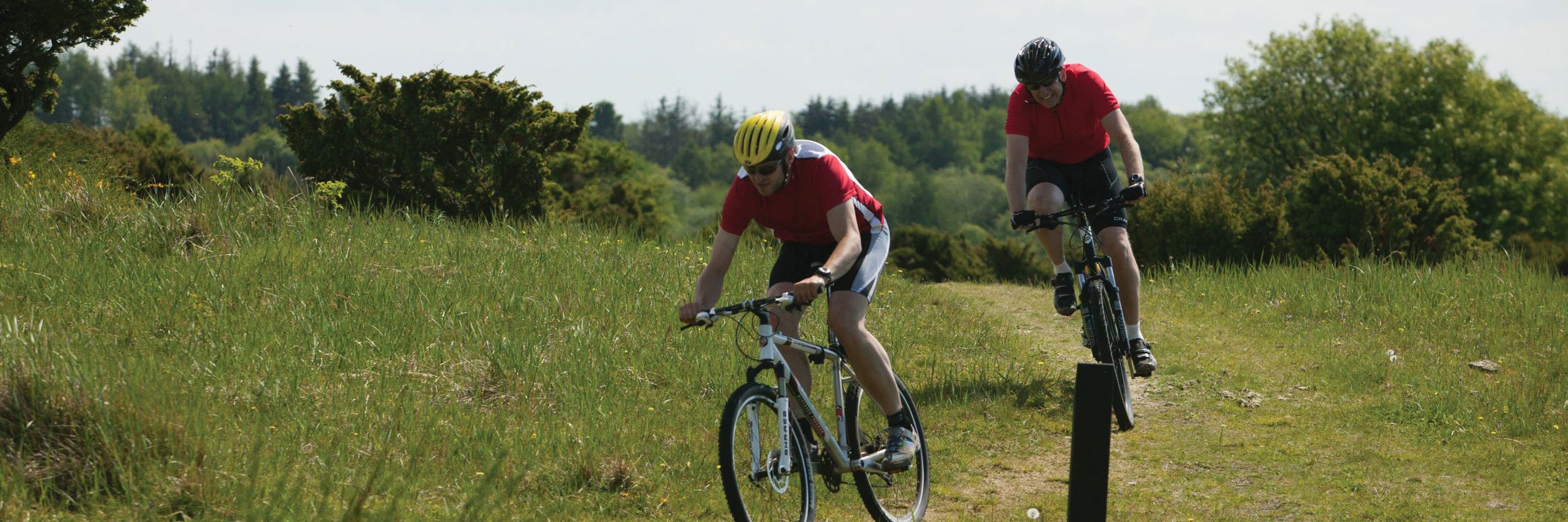 To personer på mountainbike i naturen.