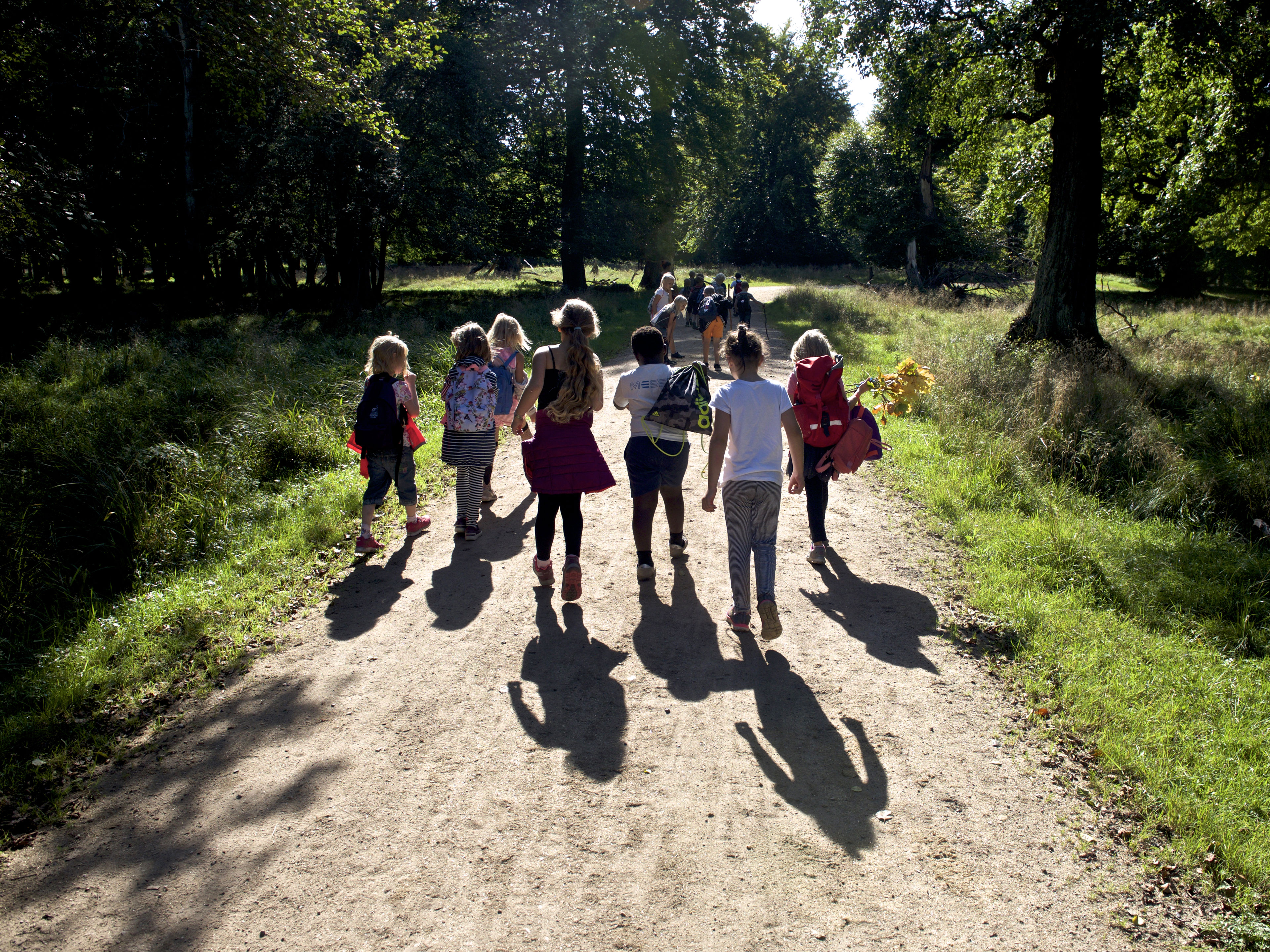 Børn på skovtur