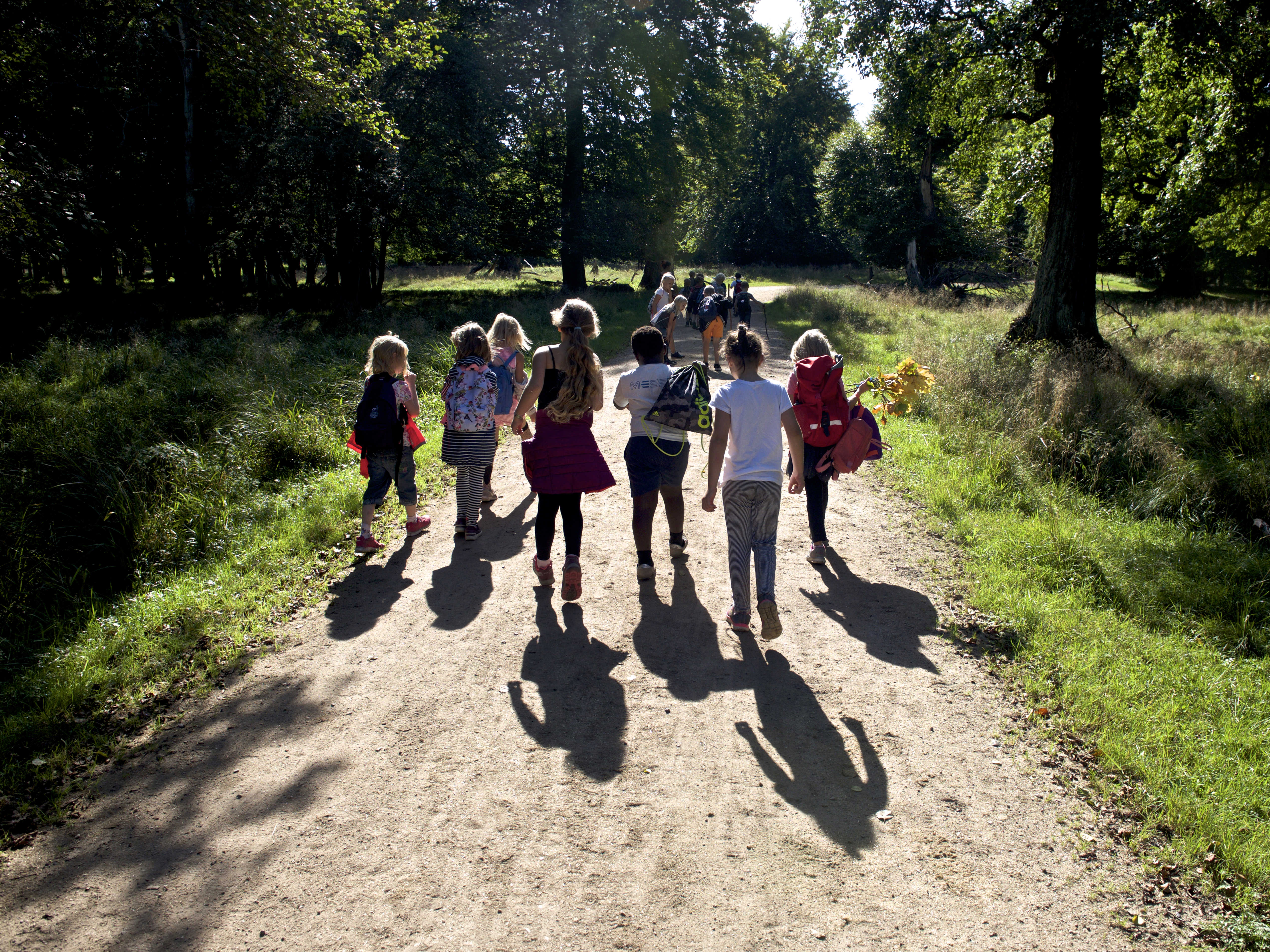 Børn på skovtur