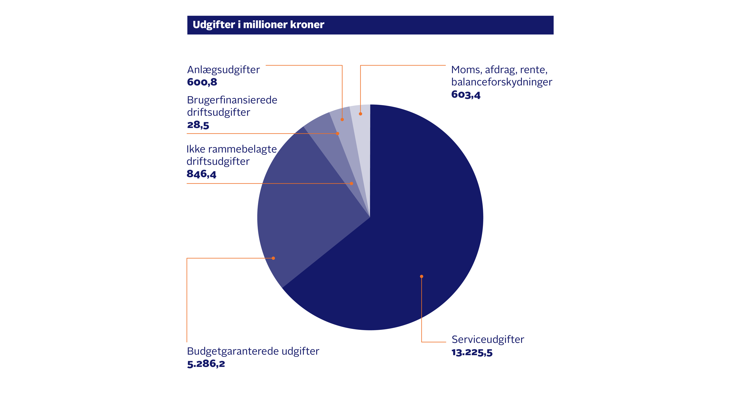 Udgifter i mio. kroner: Serviceudgifter: 13.225,5. Budgetgaranterede udgifter: 5.286,2. Ikke rammebelagte driftsudgifter: 846,4. Brugerfinansierede driftsudgifter: 28,5. Anlægsudgifter: 600,8. Moms, afdrag, rente, balanceforskydninger: 603,4 · I alt: 20.590,8
