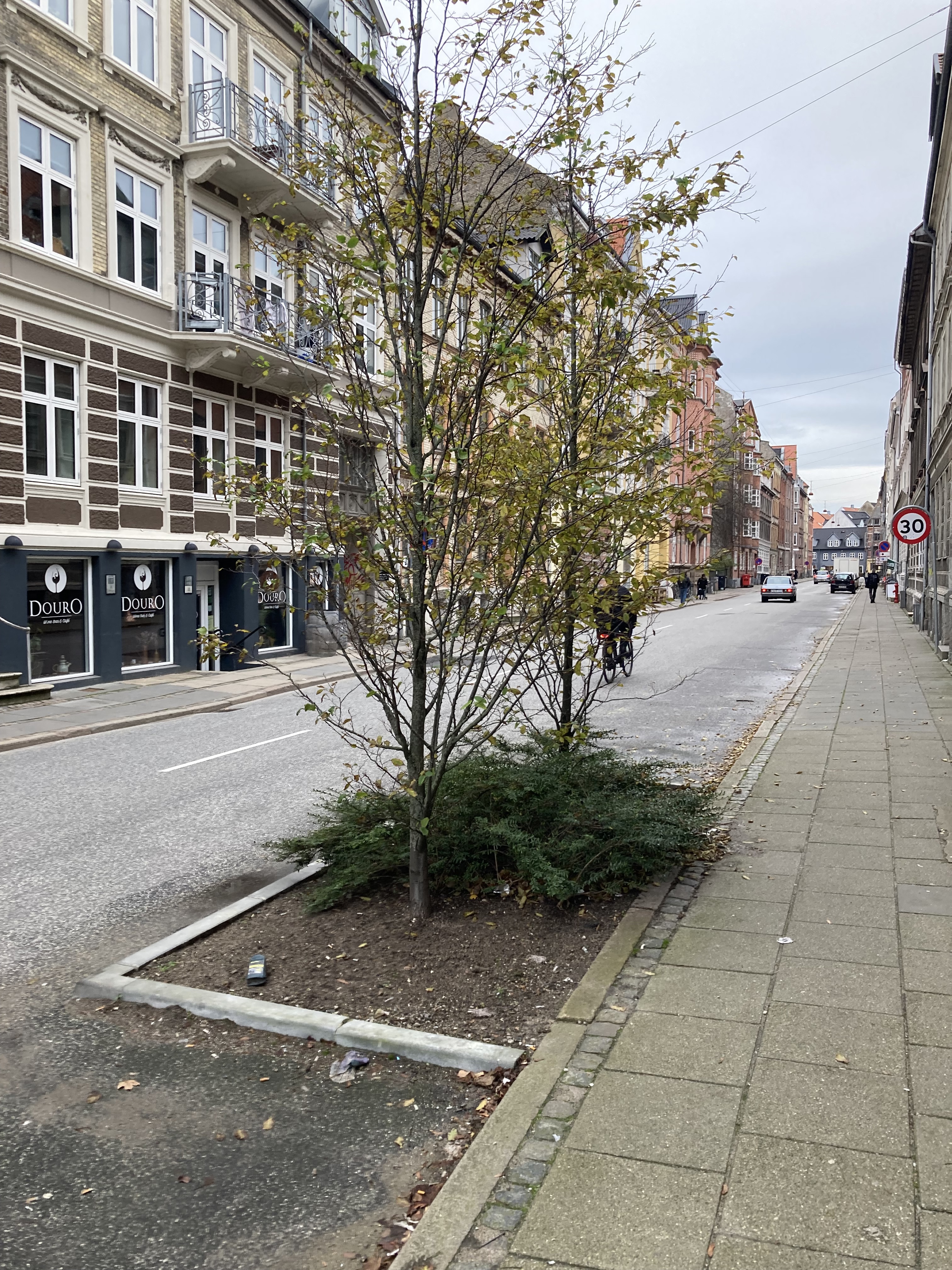 Eksempel fra Danmarksgade, hvor pladsen er prioriteret til træer.