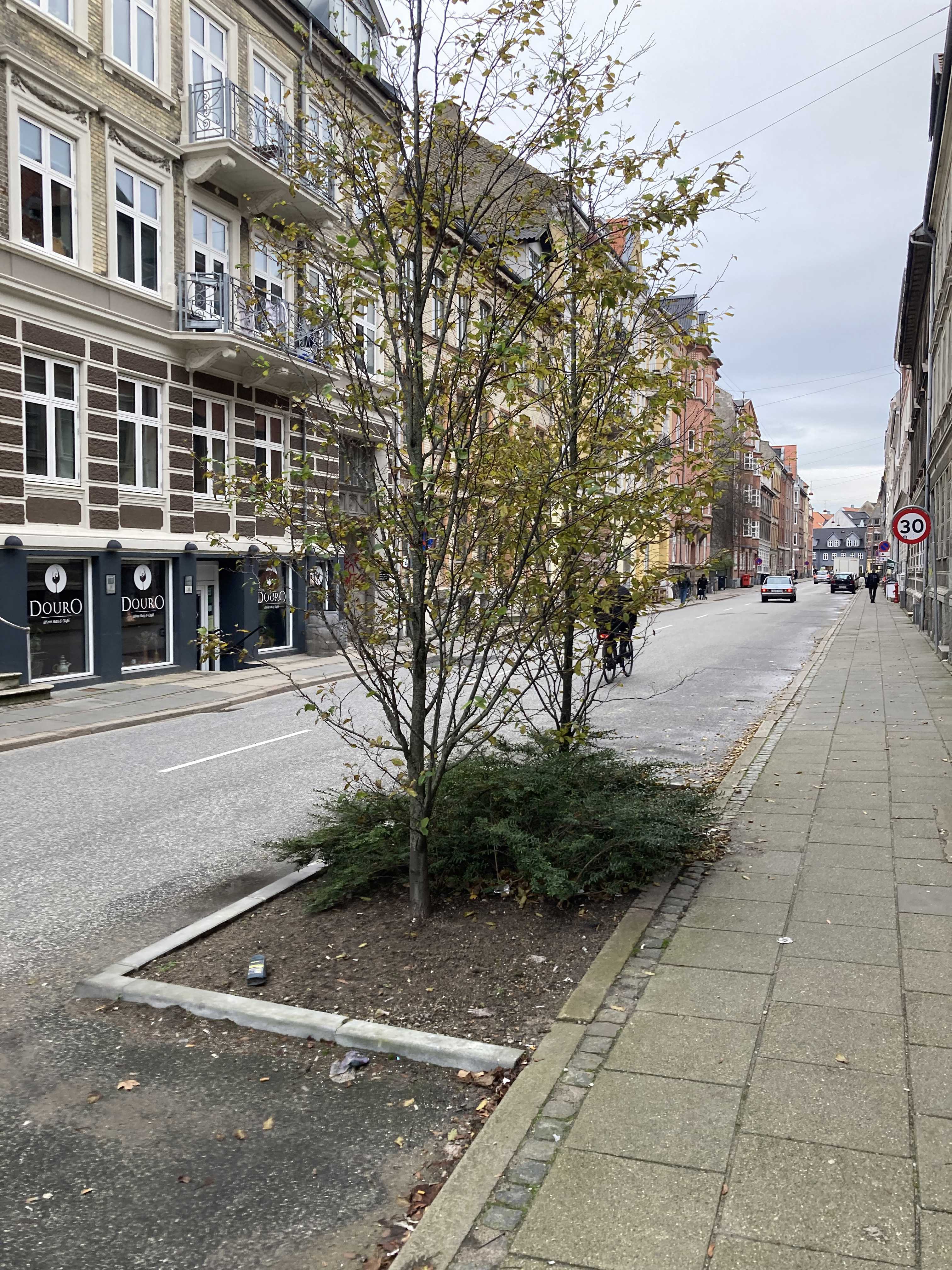 Eksempel fra Danmarksgade, hvor pladsen er prioriteret til træer.