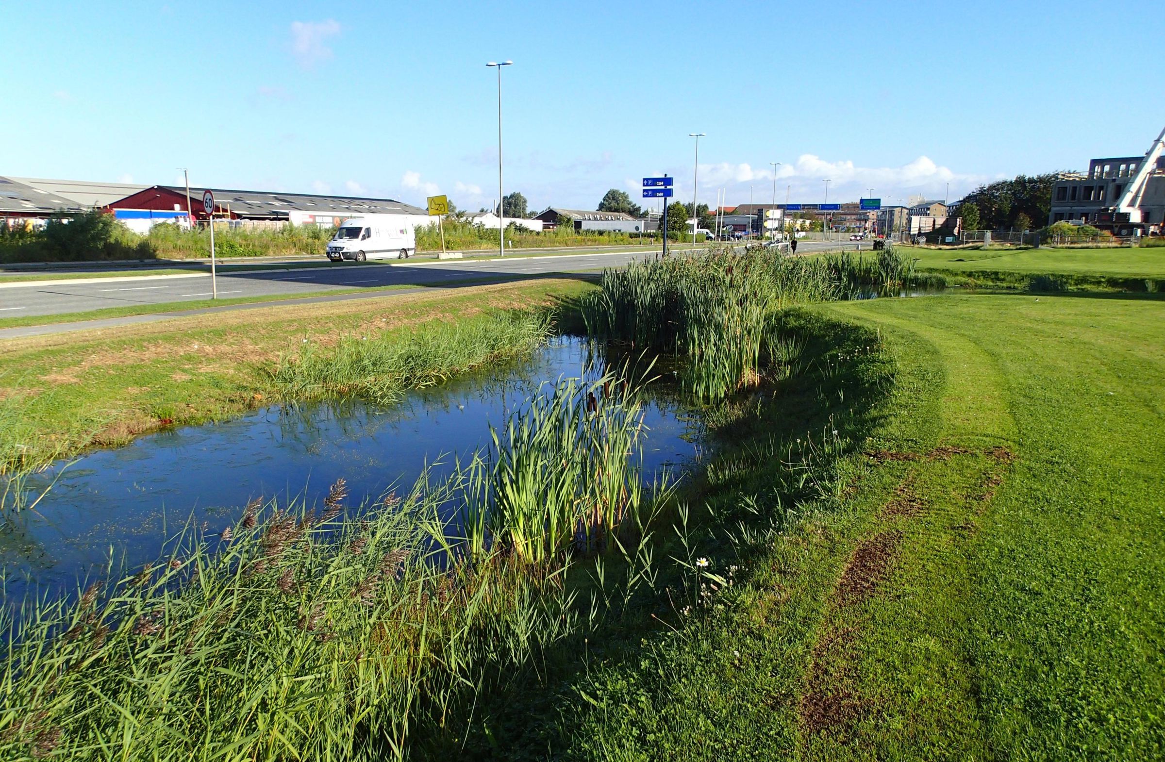 Regnvandsbassin